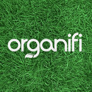 brand-ico